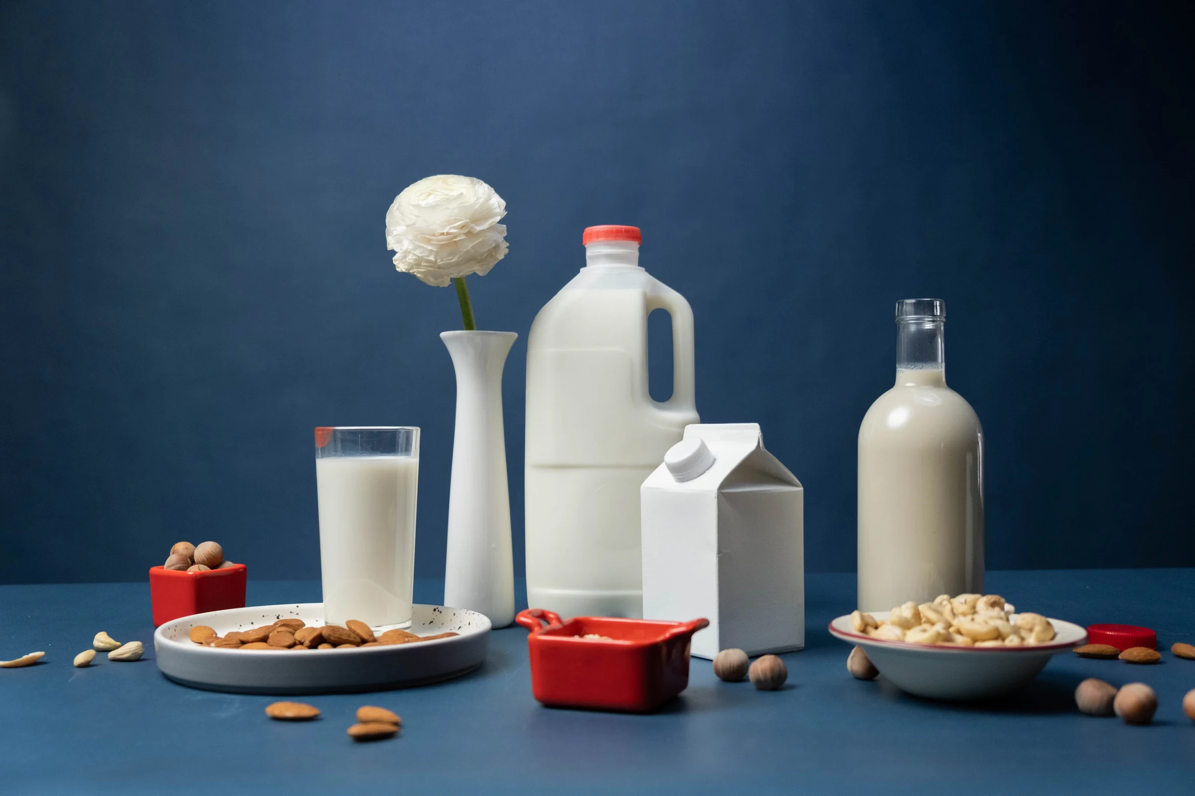 Imagen genérica relacionada con Lácteos 2026: cifras que redefinen el futuro de la leche en México